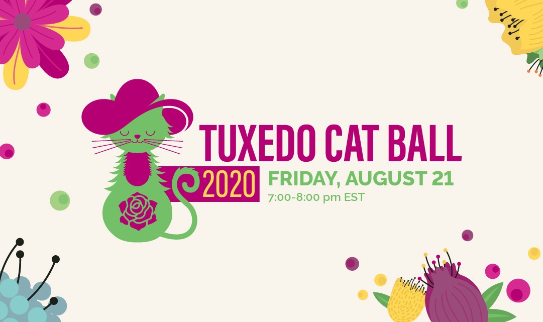 2020 Tuxedo Cat Ball 2020-08-21