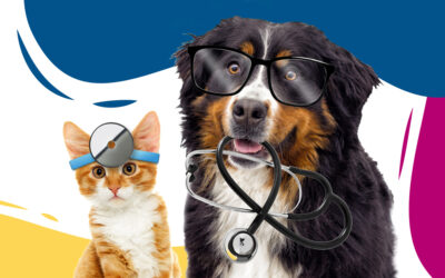 Vaccination and Microchip Clinic